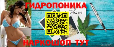 альфа пвп Краснознаменск