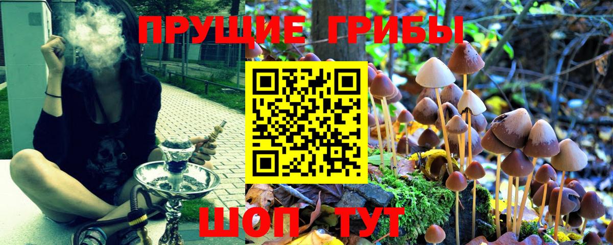 МЕФ   ГАШИШ  КОКАИН  Альфа ПВП СК   Метамфетамин  Вход с VPN  Елизово  Героин 