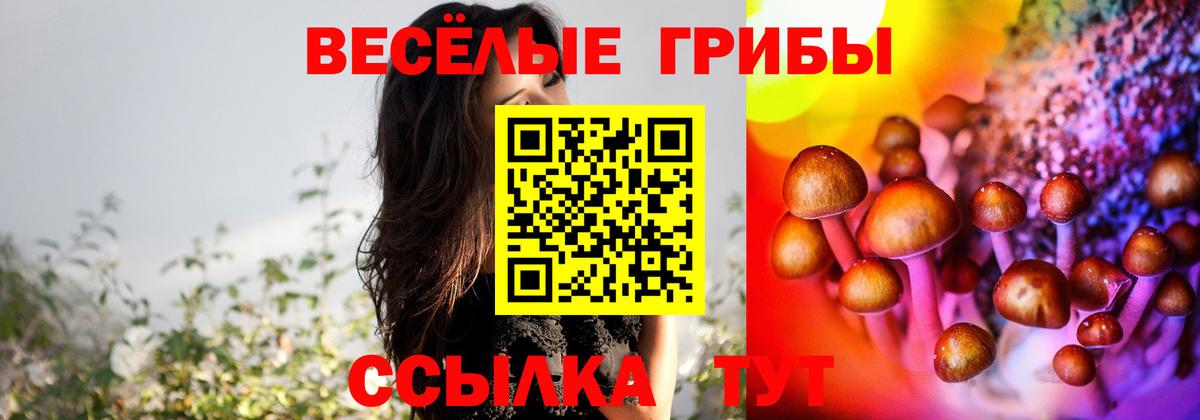 Галлюциногенные грибы прущие грибы Елизово