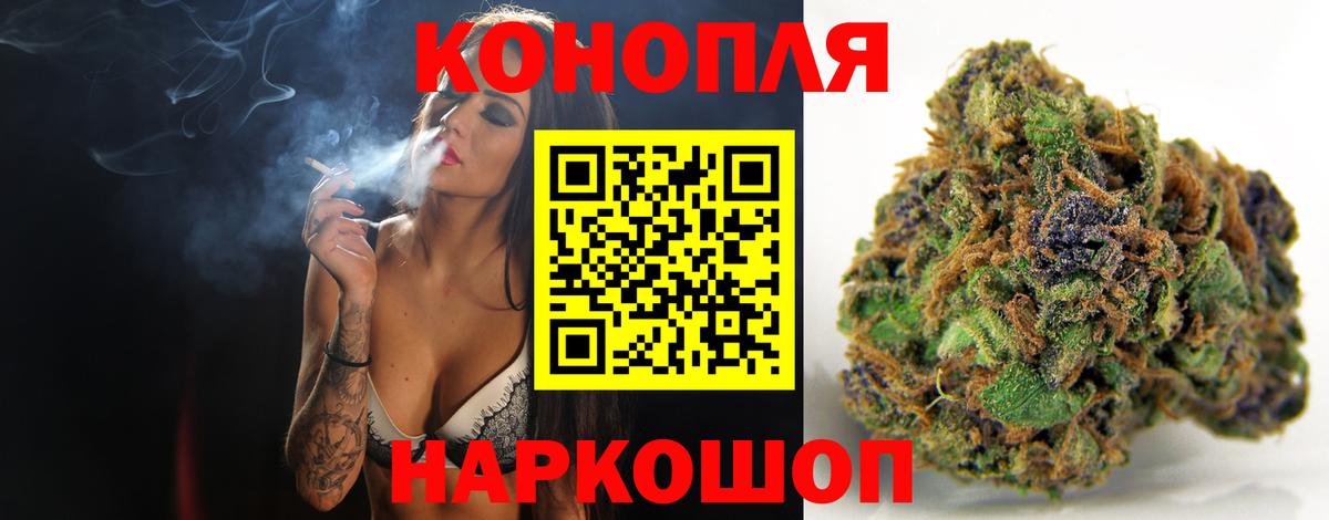 Бошки Шишки гибрид Елизово